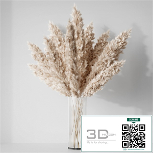 Pampas