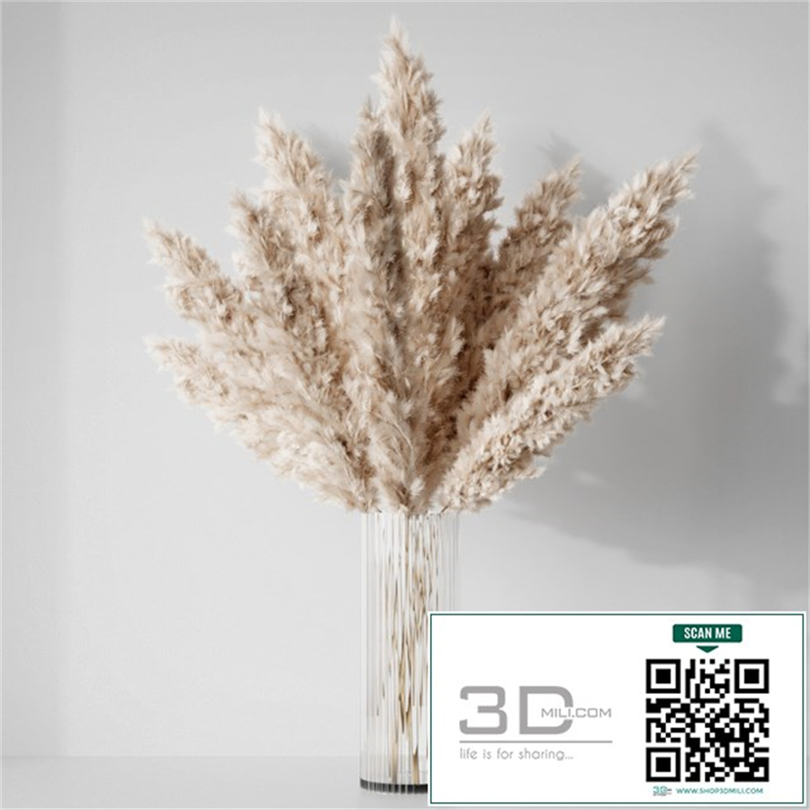 Pampas