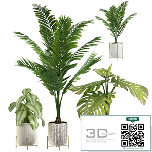 INTERIOR FLOWER PLANT PACK 4