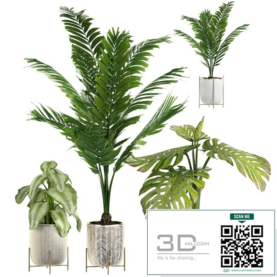 INTERIOR FLOWER PLANT PACK 4