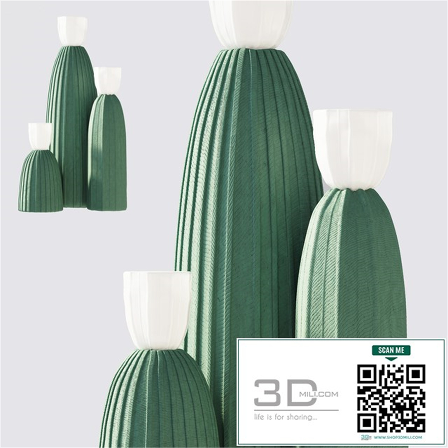 Cactus Light
