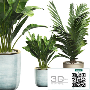 INTERIOR FLOWER PACK 10 - Window placing plants