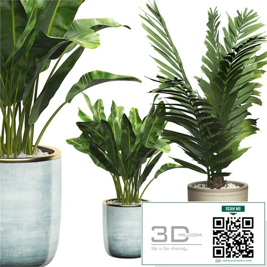 INTERIOR FLOWER PACK 10 - Window placing plants