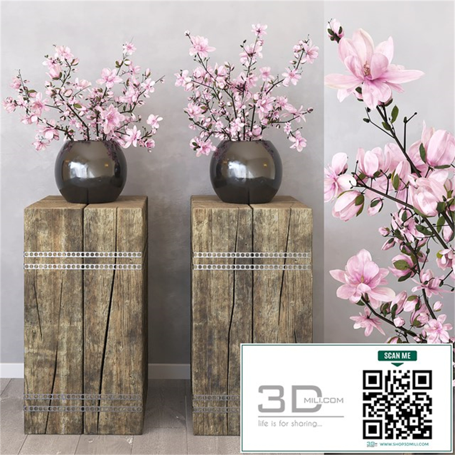 Magnolia