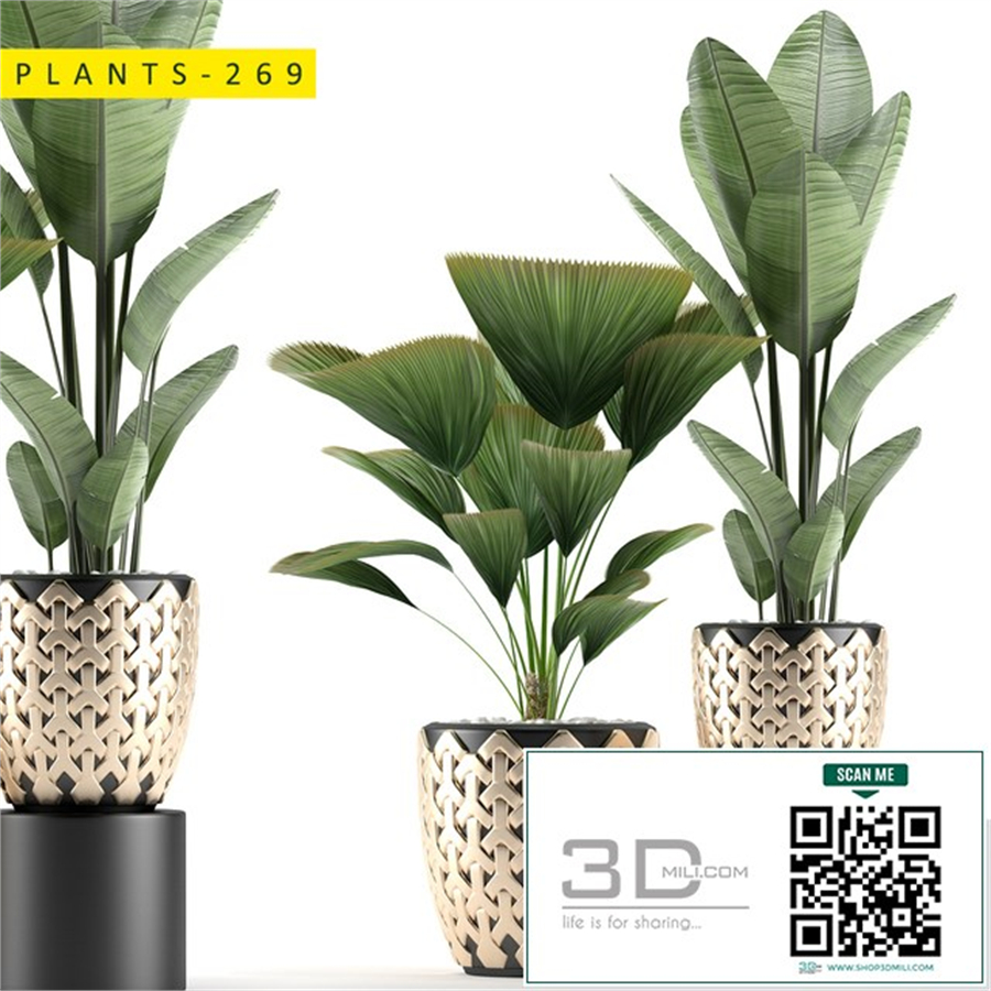 plants 269