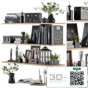 Decorative Set on Shelves
