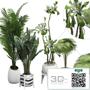 INTERIOR FLOWER PACK 15