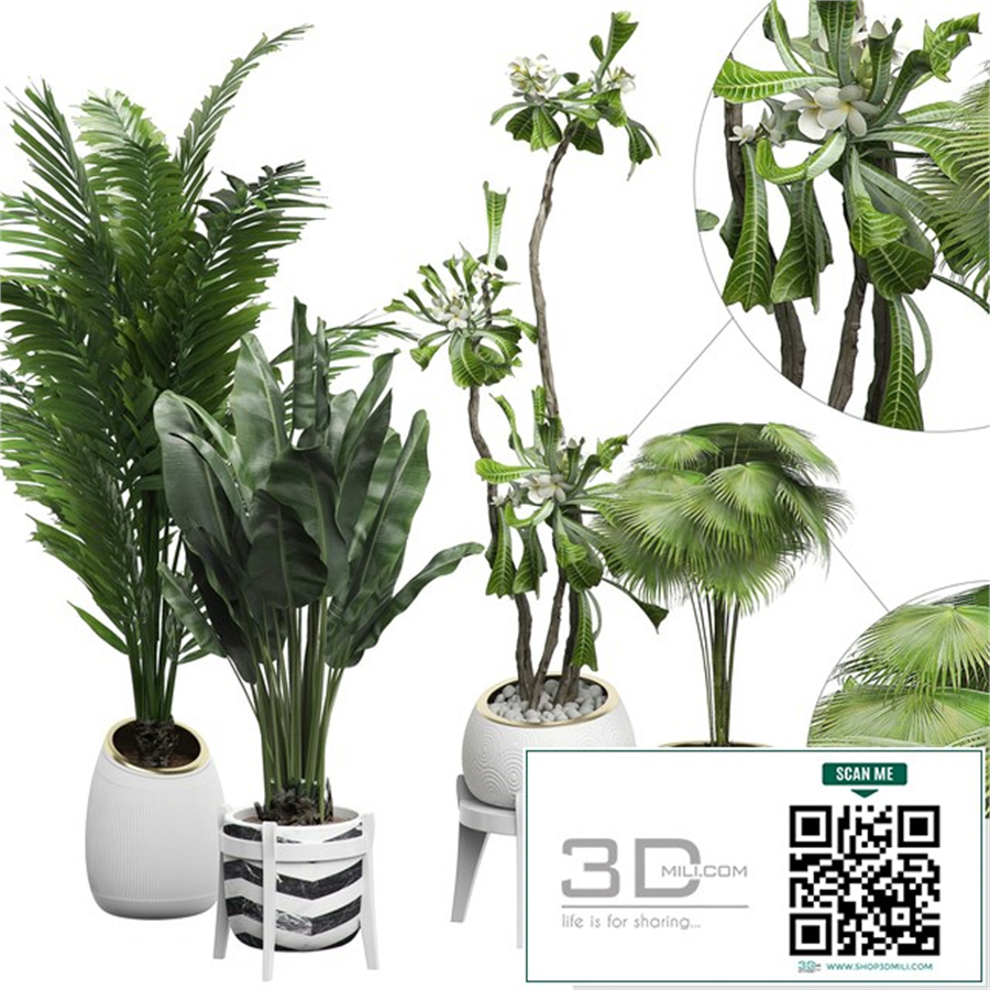 INTERIOR FLOWER PACK 15