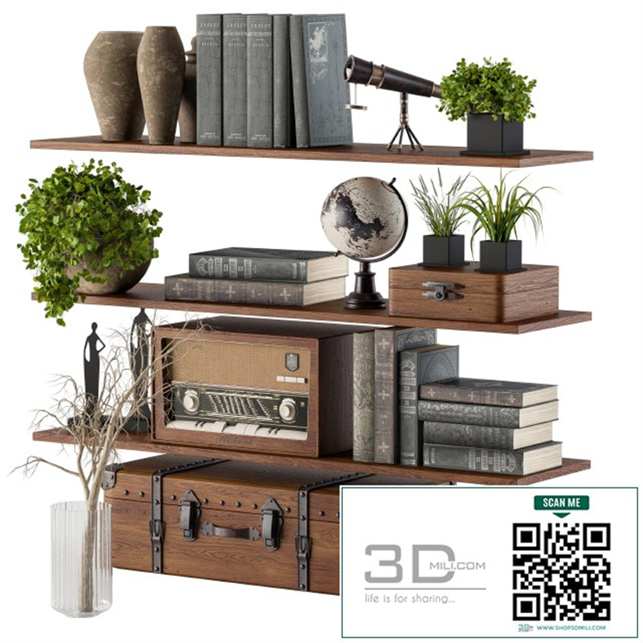 Decorative Set on Shelves 02