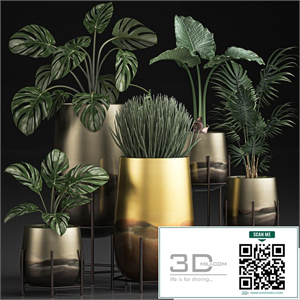 Collection of plants in luxury gold pots on legs with Monstera, palm, hovea, Alokasia, Sansevieria. Set 544.