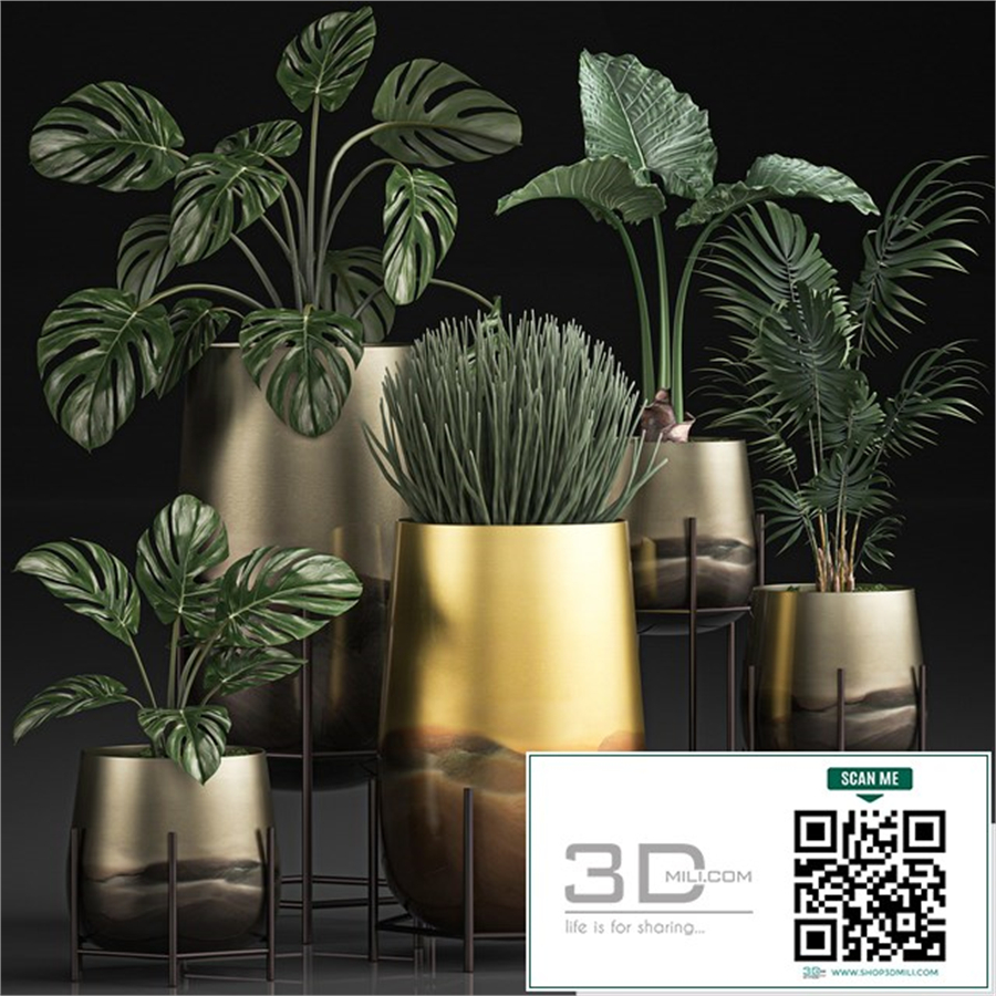 Collection of plants in luxury gold pots on legs with Monstera, palm, hovea, Alokasia, Sansevieria. Set 544.