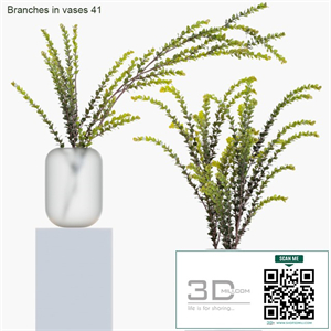 Branches in vases 41