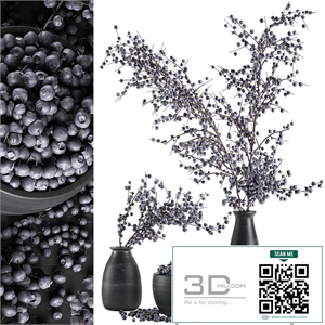 A collection of bouquets of branches with blueberries in black vases with blueberries, a bowl with berries, natural decor. Set 549.