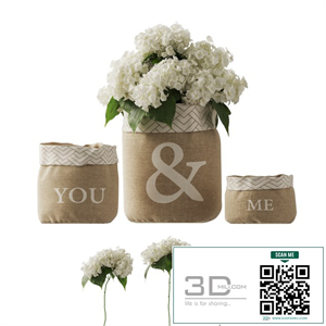 white hydrangea changeable vase