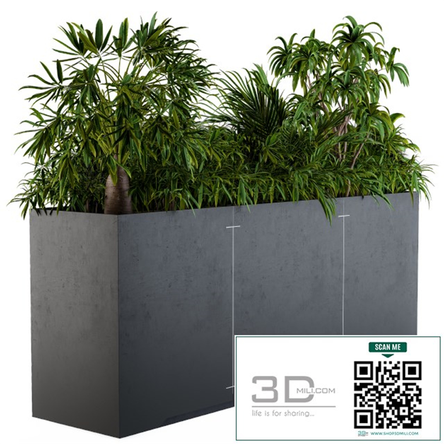 Interior Plant Box