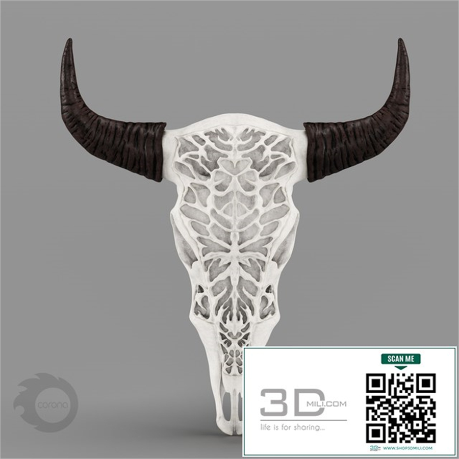 Wall Decor Bull Skull with Bone Carving