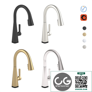 Delta Faucet Single-Handle Pull-Down 19802TZ-SP-DST 3D model