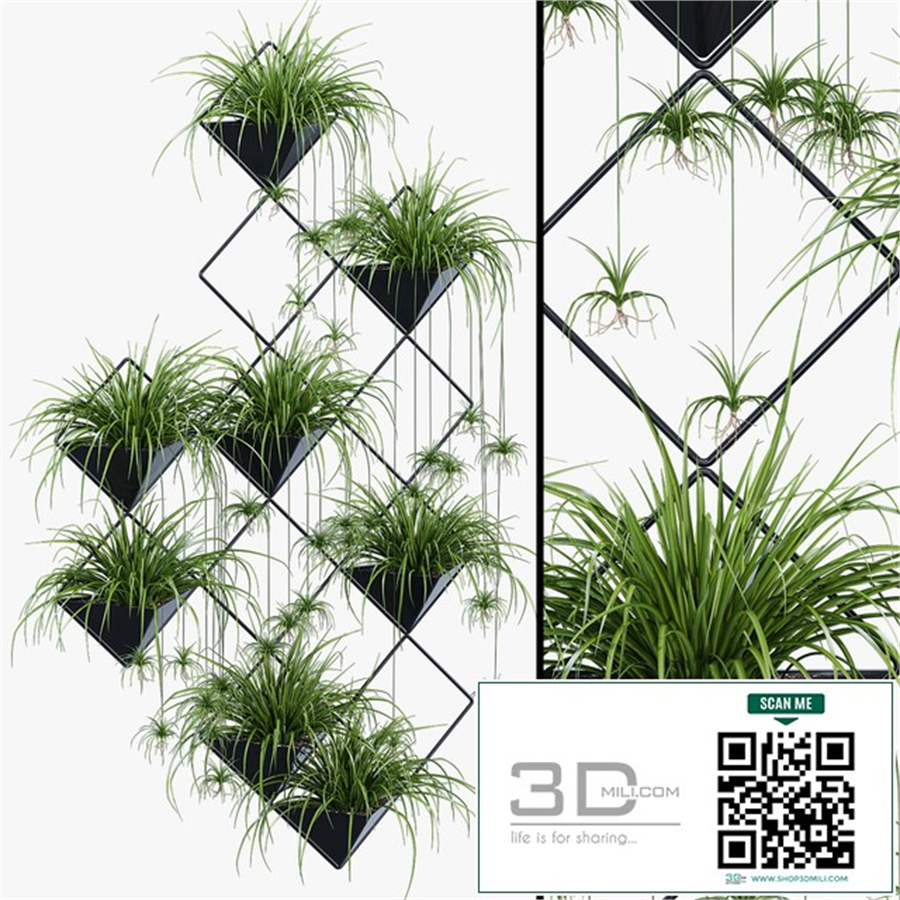 Ikebana one