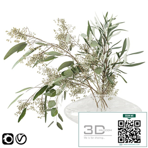 Eucalyptus bouquet