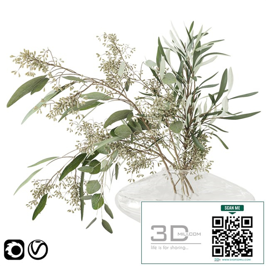 Eucalyptus bouquet