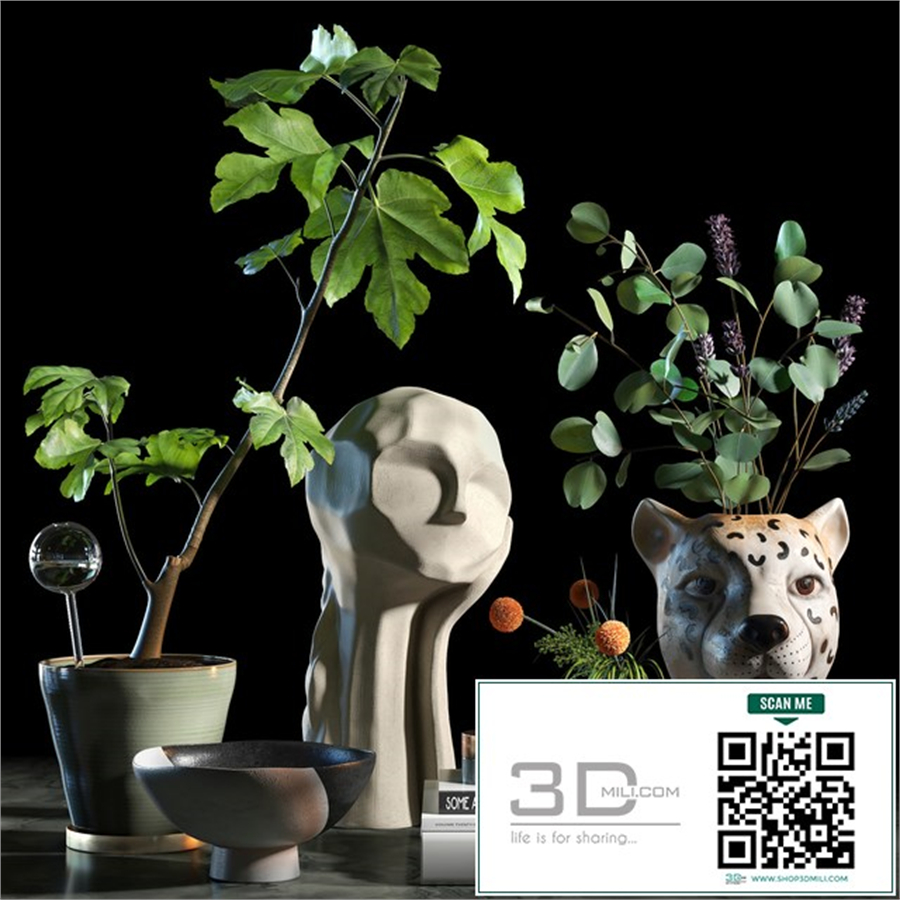 Decorative set 015