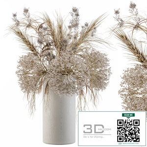 Dry Plants Set 08