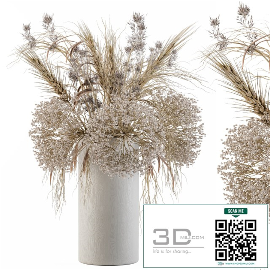 Dry Plants Set 08