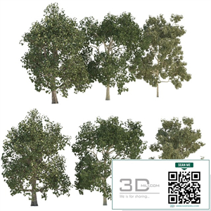 Three trees