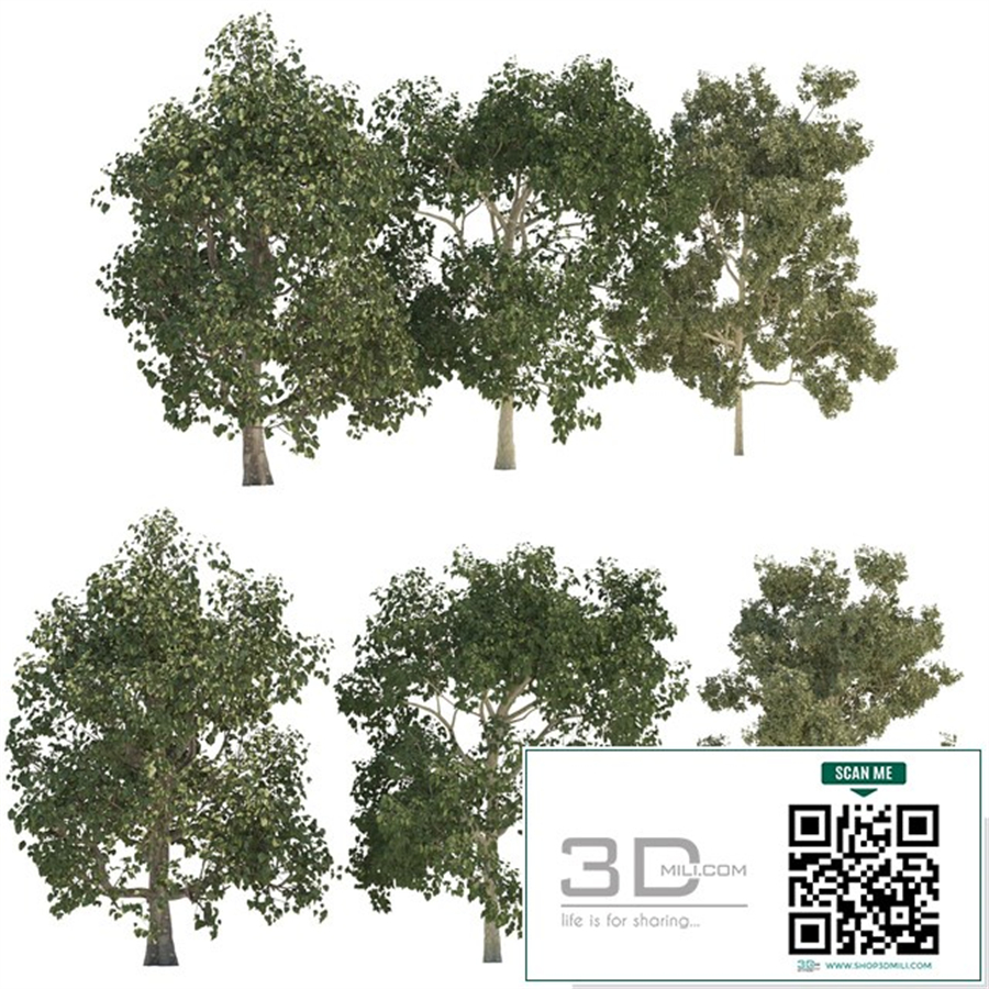 Three trees
