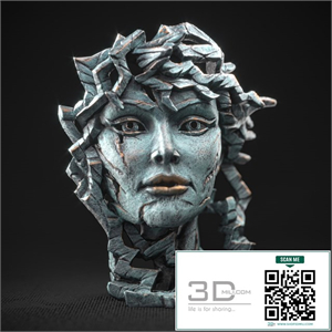 Venus bust
