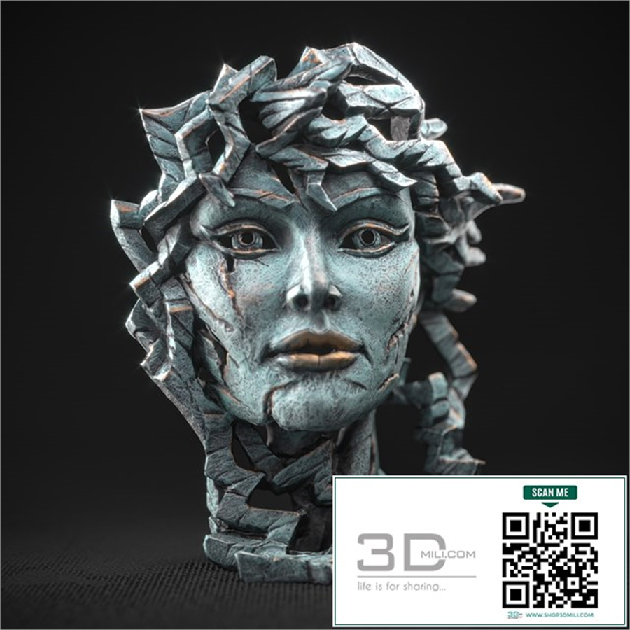 Venus bust