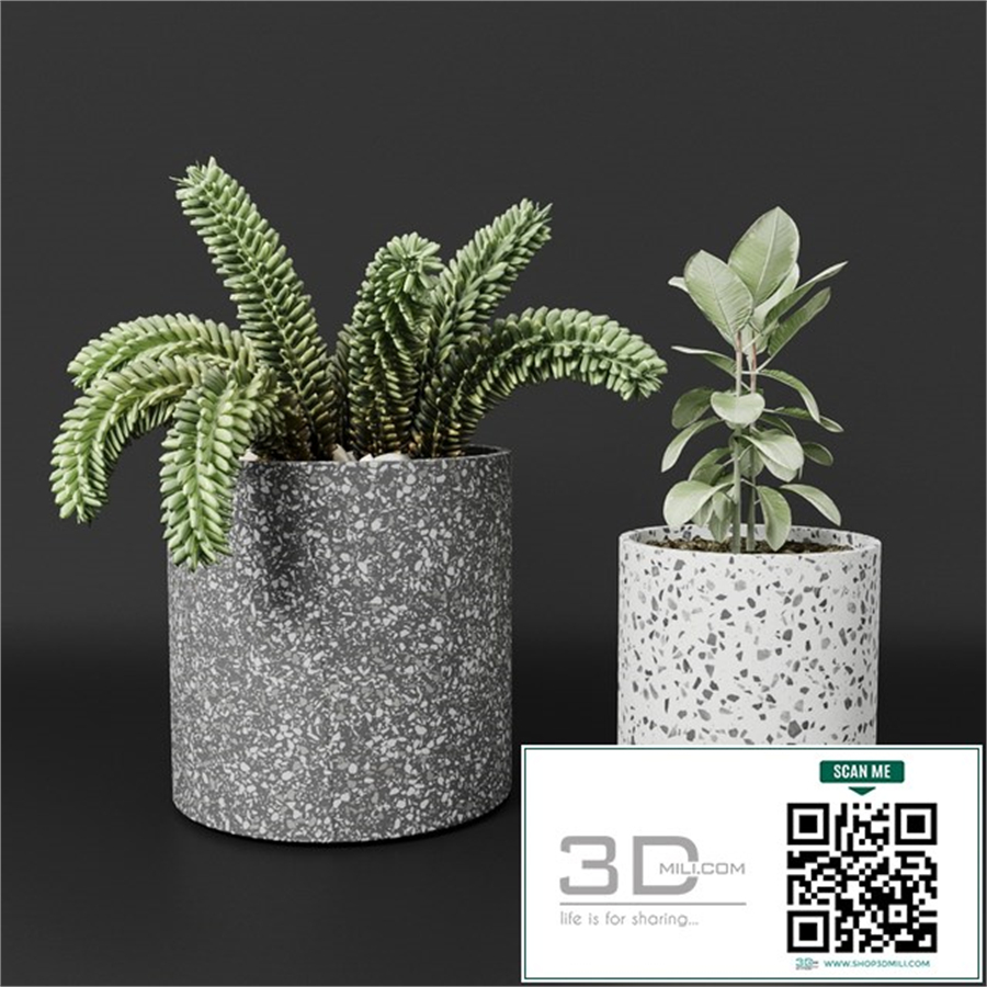 Planter pot Bransc pots