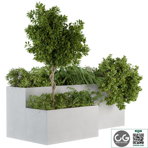 outdoor Plants Concrete Box - Set 45
