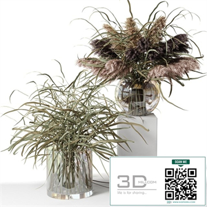 Dry herb bouquets in glass vases