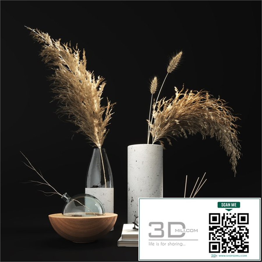 Decorative set with dry plants 01