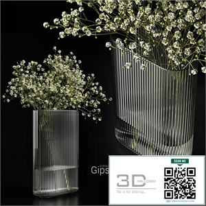 A bouquet of gypsophila