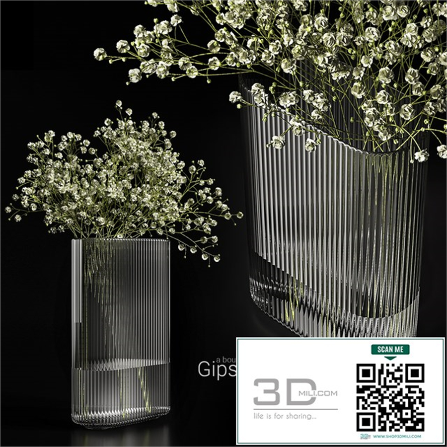 A bouquet of gypsophila