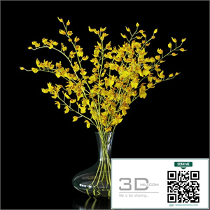 Orchid oncidium