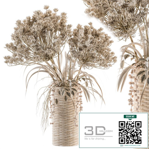 Dry plants 22 - dried Bouquet in Wicker Basket Vase