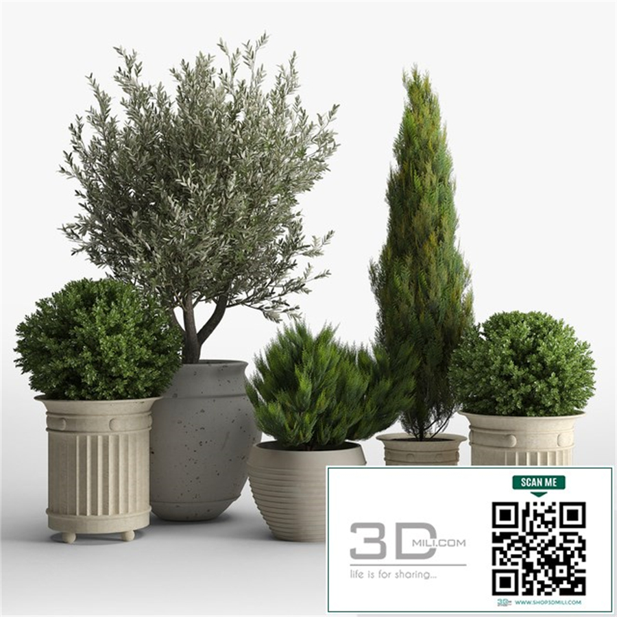 prescott planter set