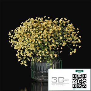 Gypsophila 03