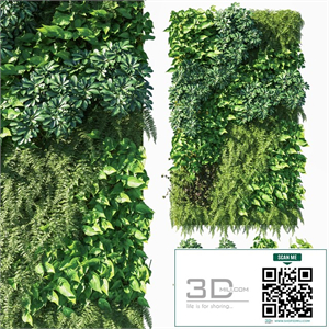 Vertical garden_ Green wall 03