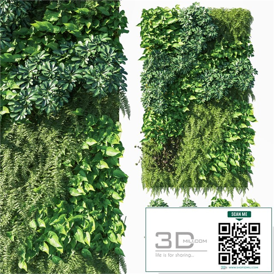 Vertical garden_ Green wall 03