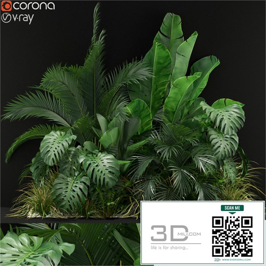 Plants collection 357