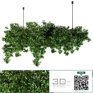 Hanging box plant - Set 72