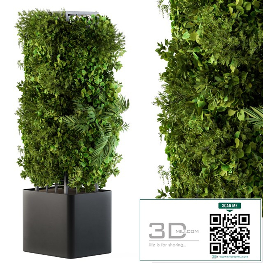 Outdoor Plant Box - Vertical Garden 02