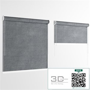 Curtain