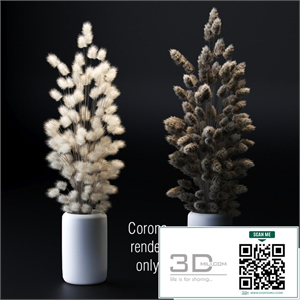 Bouquet of dried flowers. 2 models