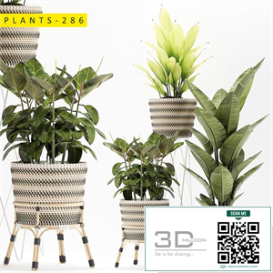 plants 286