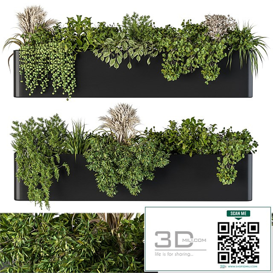 Plant Box on Wall 04